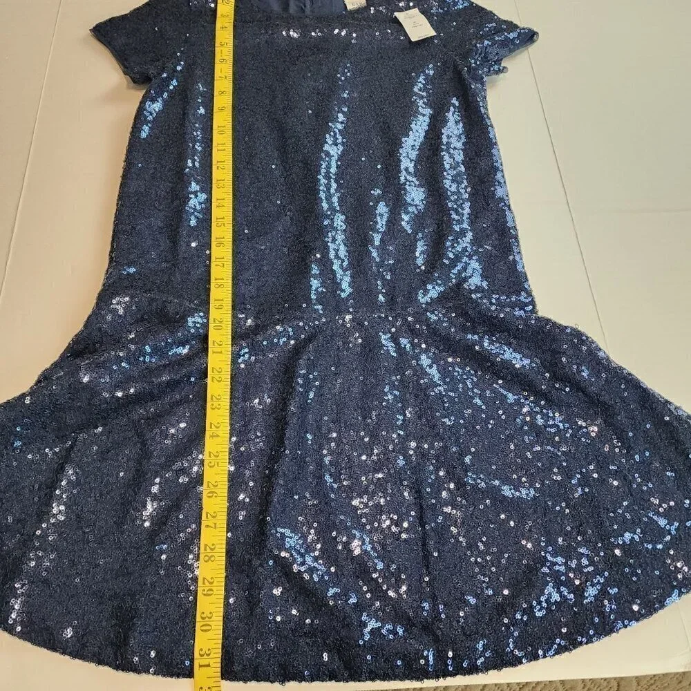 Gap Kids size XL/12 drop waist sequin dress Special occasion Holiday Blue